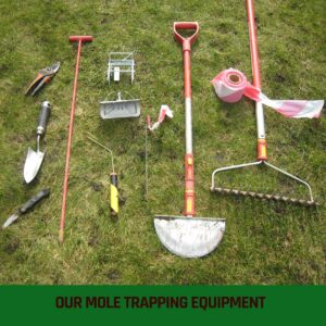 Our selection of tools